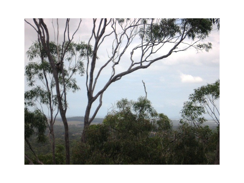 378 Coorooman Creek Road, Cawarral QLD 4702