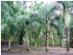 45 Annie Drive, Cawarral QLD 4702
