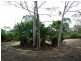 45 Annie Drive, Cawarral QLD 4702