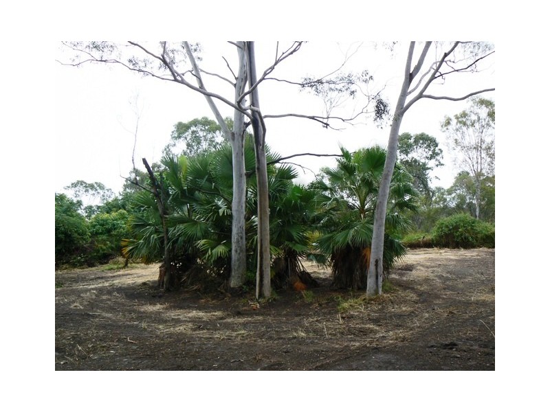 45 Annie Drive, Cawarral QLD 4702