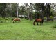 43 Cemetery Road, Cawarral QLD 4702