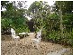 2003 Emu Park Road, Tungamull QLD 4702