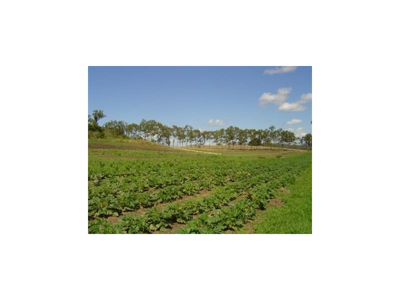 93 Fryers Road, Tungamull QLD 4702
