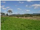 93 Fryers Road, Tungamull QLD 4702