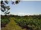0 Balnagowan Road, Joskeleigh QLD 4702
