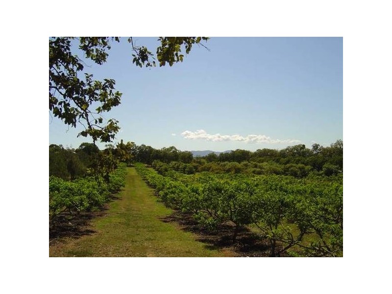 0 Balnagowan Road, Joskeleigh QLD 4702