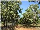 0 Balnagowan Road, Joskeleigh QLD 4702
