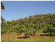 0 Balnagowan Road, Joskeleigh QLD 4702