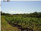 0 Balnagowan Road, Joskeleigh QLD 4702