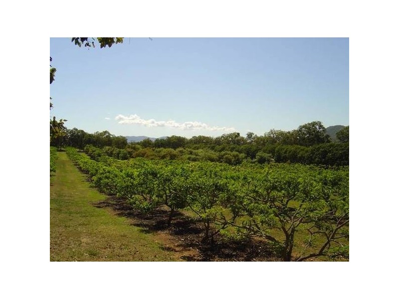 0 Balnagowan Road, Joskeleigh QLD 4702