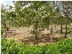 240 Warcons Road, Cawarral QLD 4702