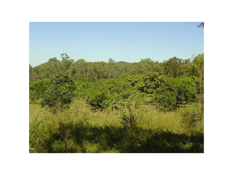 80 Fryer Road, Tungamull QLD 4702