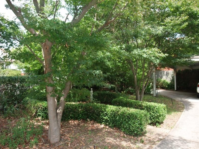 46 Alamein Avenue, Carlingford NSW 2118