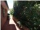 16 Dorset Street, Epping NSW 2121