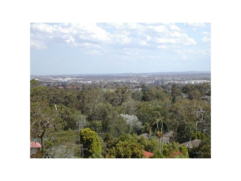 18/3 Coleman Avenue, Carlingford NSW 2118