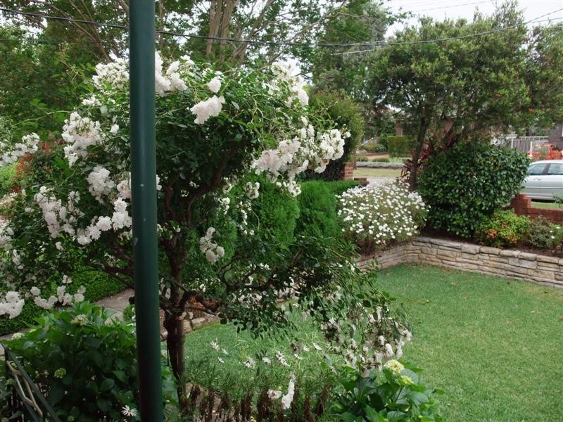 7 Denman Street, Eastwood NSW 2122