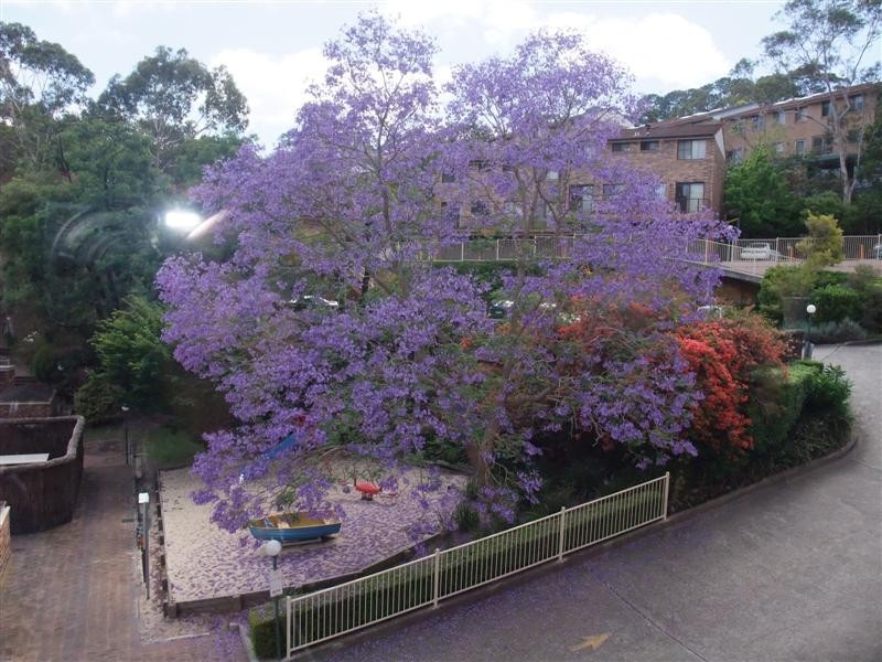 32/106 Crimea Road, Marsfield NSW 2122