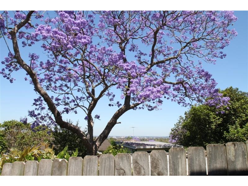 3a Forster Place, Dundas Valley NSW 2117