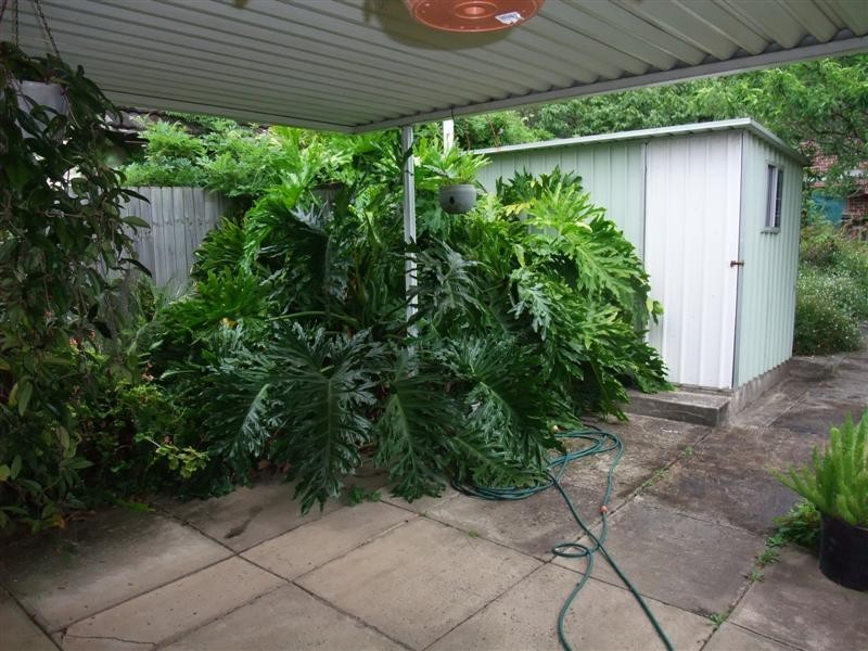 161 Ray Road, Epping NSW 2121