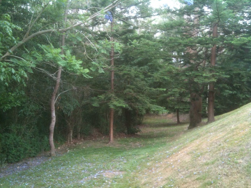 30/106 Crimea Road, Marsfield NSW 2122