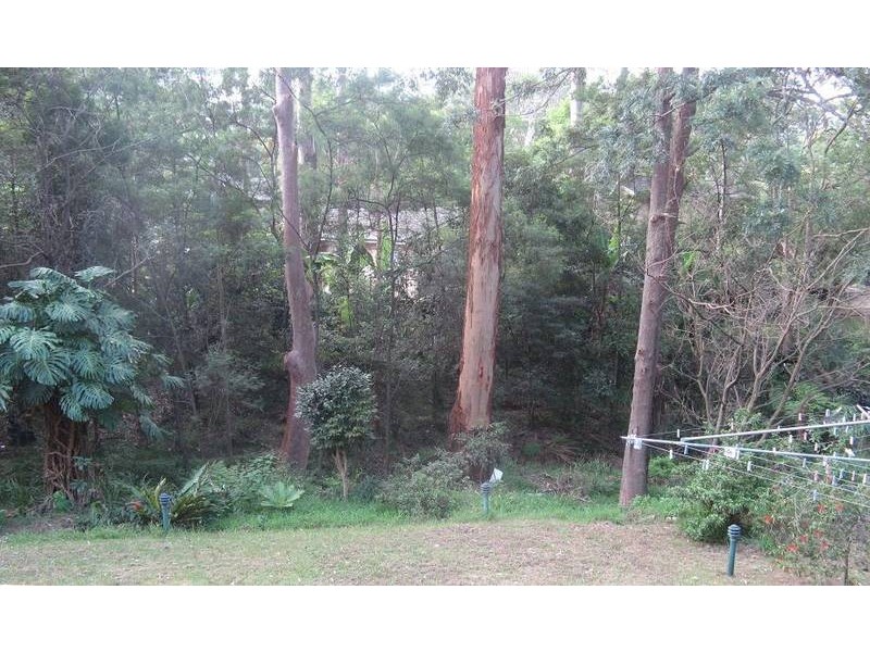 11 Plympton Road, Carlingford NSW 2118