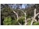 35/2 Leisure Close, Macquarie Park NSW 2113