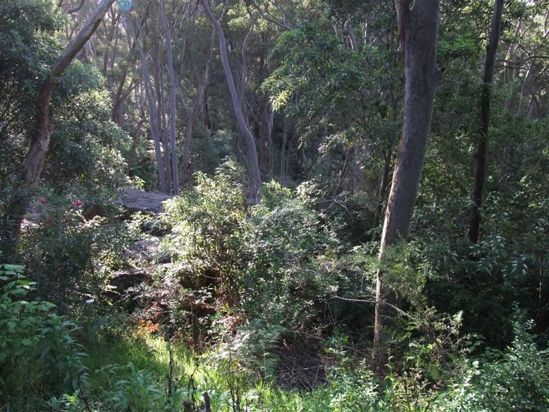 14/6 Tuckwell Place, Macquarie Park NSW 2113