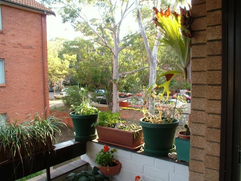 8/10 Cottonwood Crescent, Macquarie Park NSW 2113