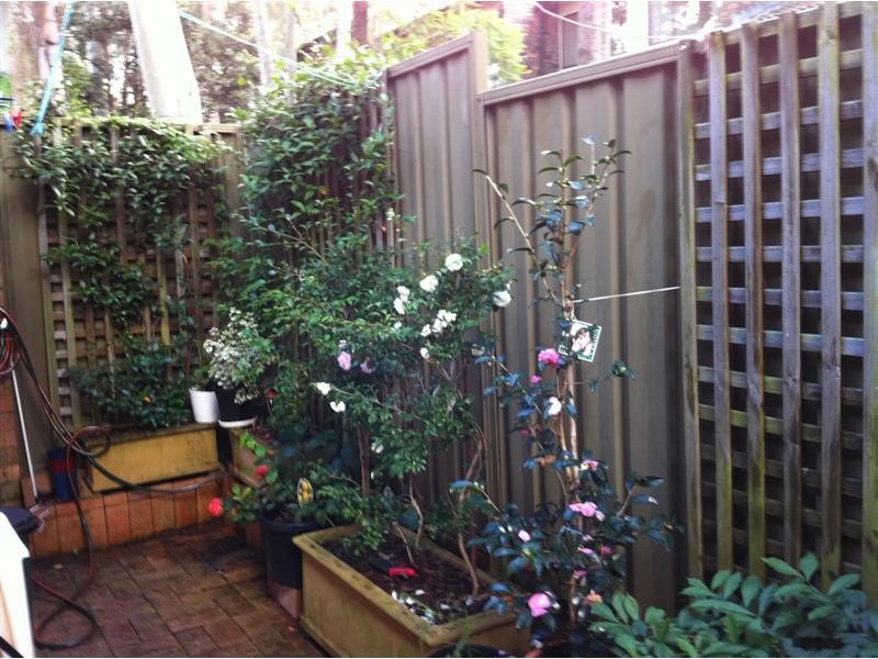 8/3 Trafalgar Place, Marsfield NSW 2122