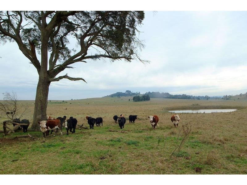 Lot 14 Illawarra H’way, Moss Vale NSW 2577