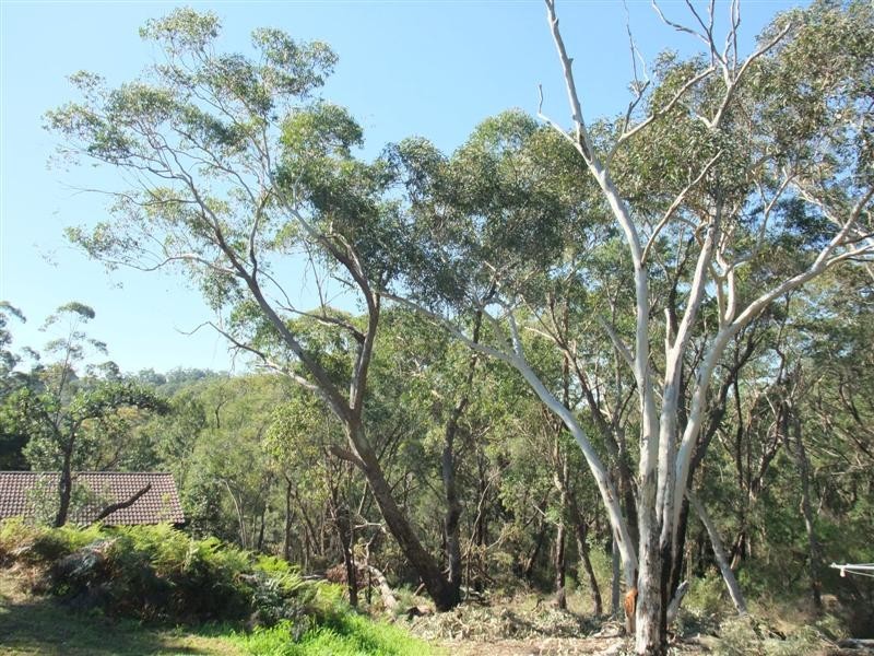 67 Mill Drive, North Rocks NSW 2151