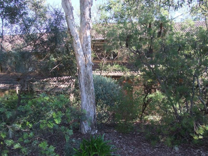 4/110 Crimea Road, Marsfield NSW 2122