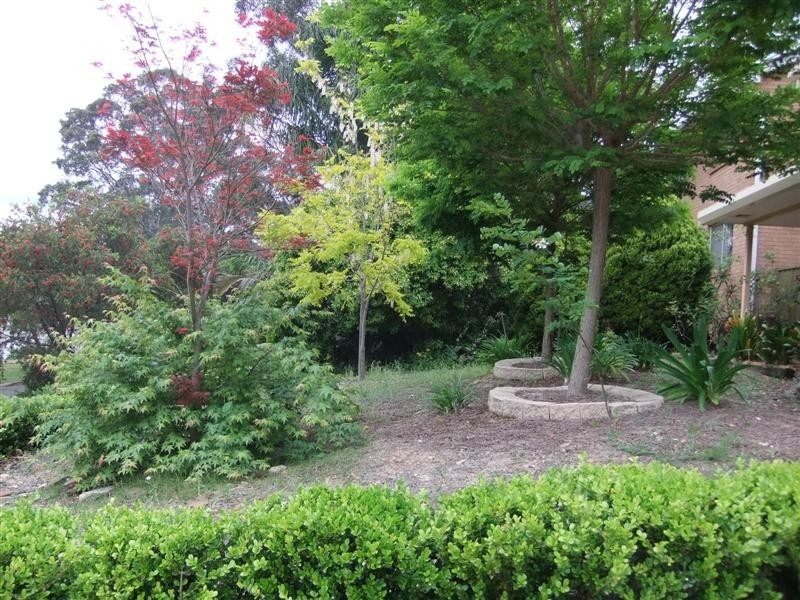 14 Gossell Grove, Carlingford NSW 2118