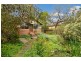 57 Carlingford Road, Epping NSW 2121