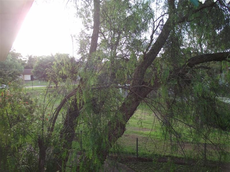 62/14-16 Freeman Place, Carlingford NSW 2118