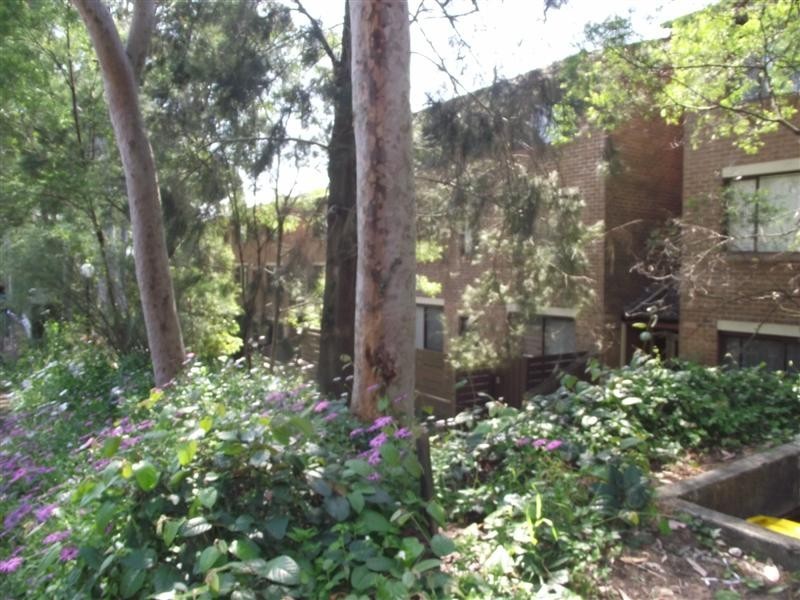 1/1 Carlisle Close, Macquarie Park NSW 2113