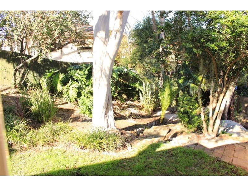 124 Vimiera Road, Marsfield NSW 2122