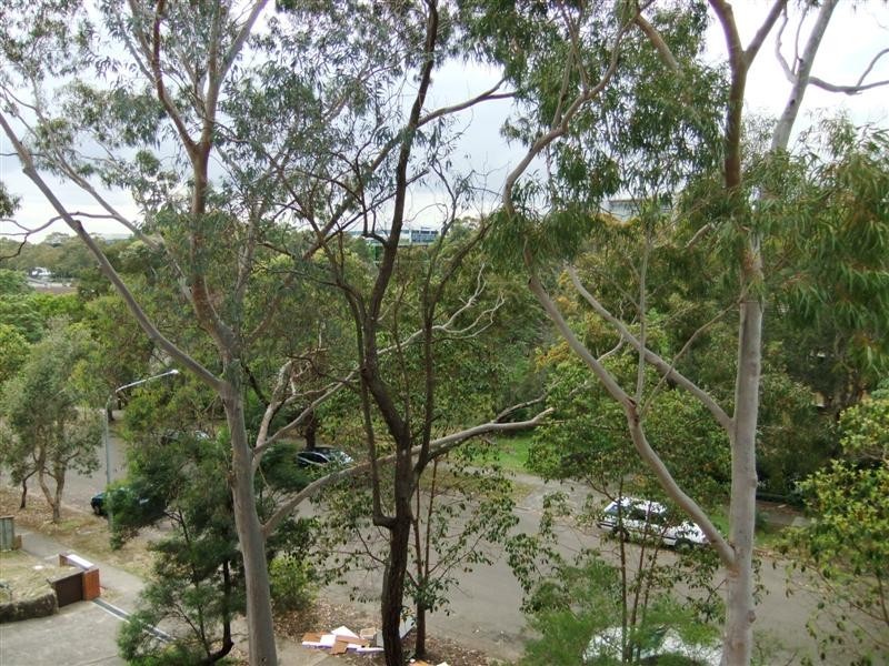 11/13 Cottonwood Crescent, North Ryde NSW 2113