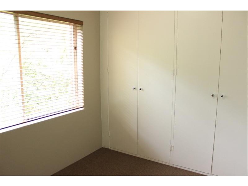 1/6 Cottonwood Crescent, Macquarie Park NSW 2113