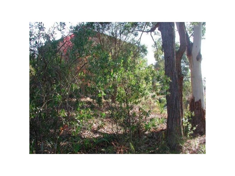 Macquarie Park NSW 2113