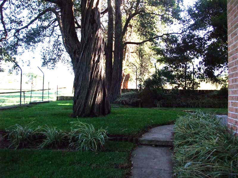 8/67 Baker Street, Carlingford NSW 2118