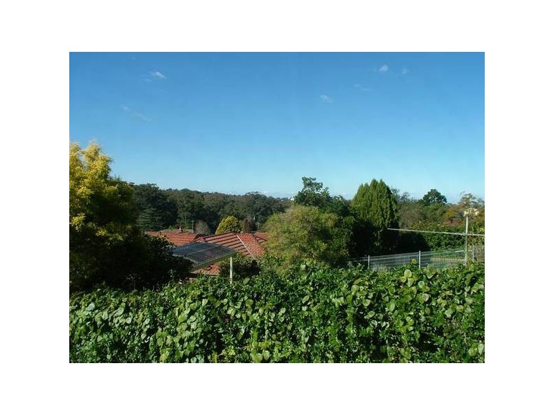 Buena Vista Avenue, Denistone NSW 2114