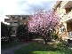 Oxford Street, Epping NSW 2121