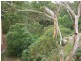 35/2 Leisure Close, Macquarie Park NSW 2113