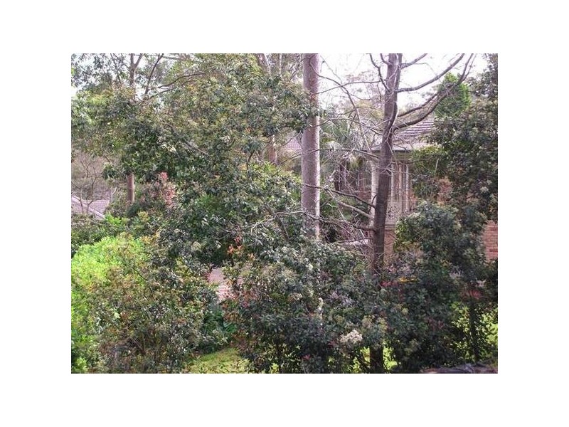 18B Beecroft Road, Beecroft NSW 2119