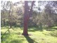 28/114 Crimea Road, Marsfield NSW 2122
