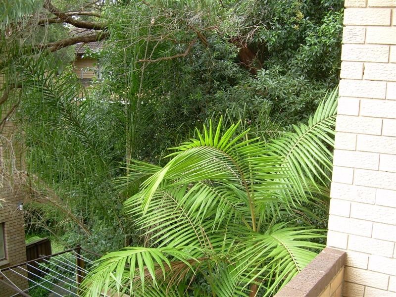 9/10 Lachlan Avenue, Macquarie Park NSW 2113