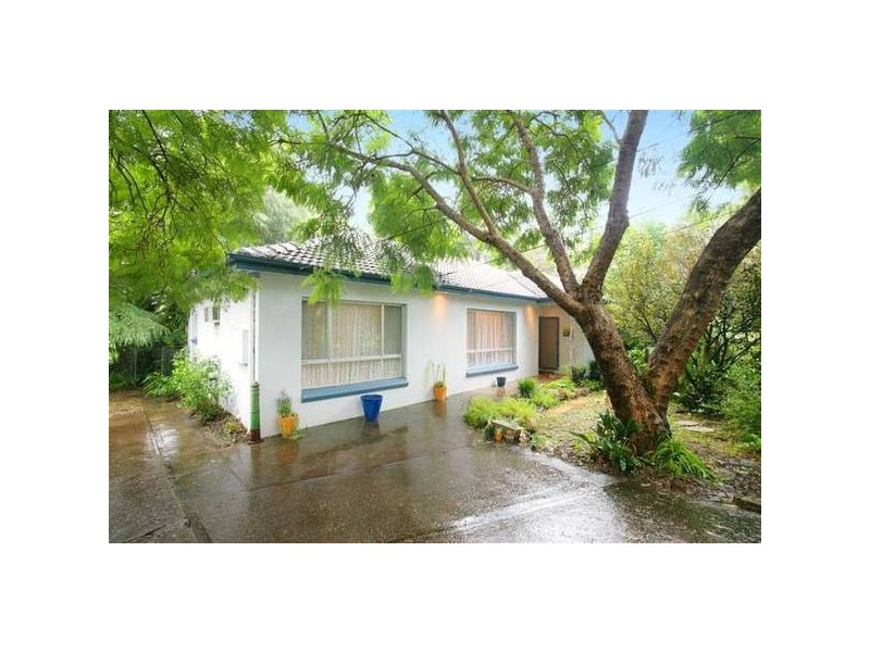 13 Bertram Street, Eastwood NSW 2122