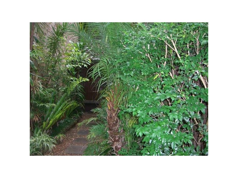 7/34 Busaco Road, Marsfield NSW 2122