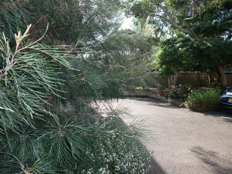 7/211 Waterloo Road, Marsfield NSW 2122